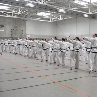 Kodokan Tkd Lg 28022026 Einheit 1 0035