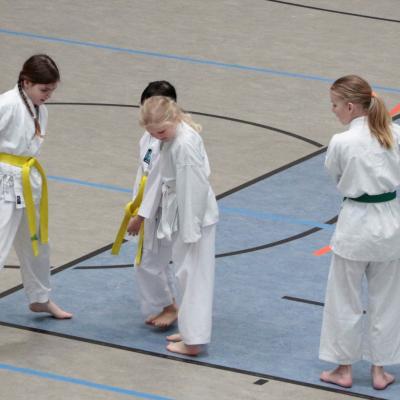 Kodokan Tkd Lg 28022026 Einheit 0 0001