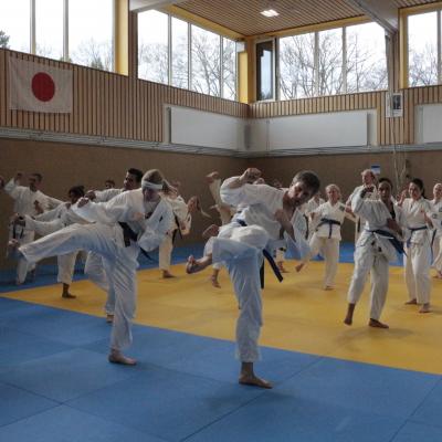 Kodokan Tkd Lg 28022026 Einheit 2 0049