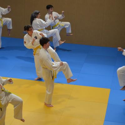 Kodokan Tkd Lg 28022026 Einheit 2 0213