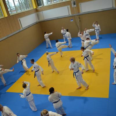 Kodokan Tkd Lg 28022026 Einheit 2 0441