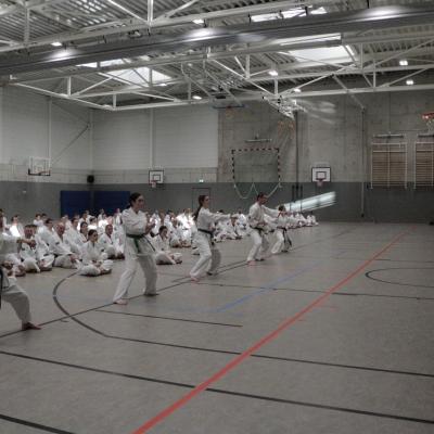 Kodokan Tkd Lg 28022026 Einheit 3 0012