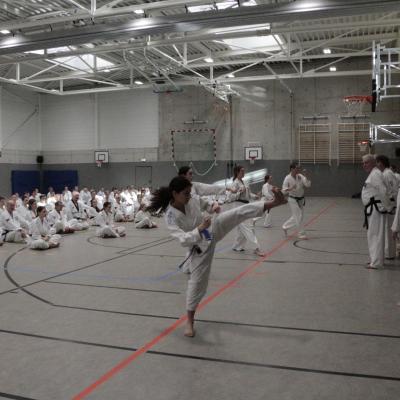 Kodokan Tkd Lg 28022026 Einheit 3 0015